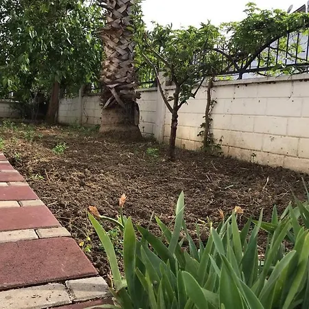 Side Parkvilla Garden Floor シダ