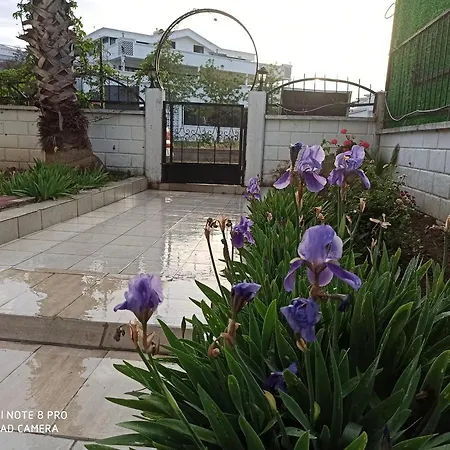 Side Parkvilla Garden Floor * シダ